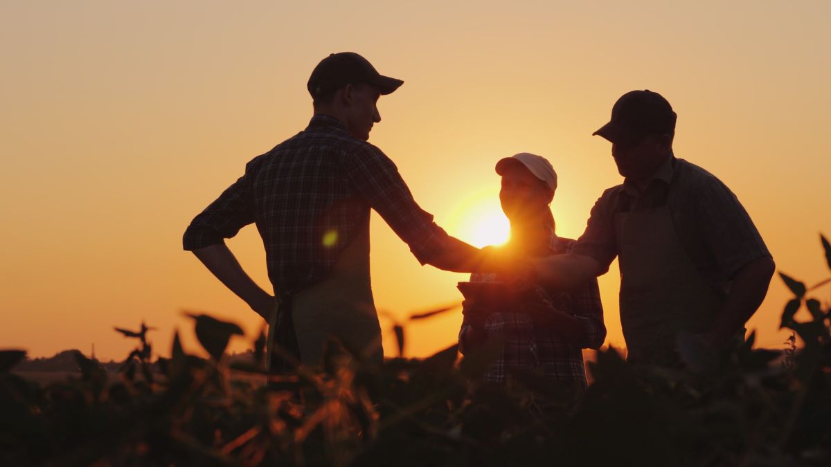 Group of people standing in a field at sunset